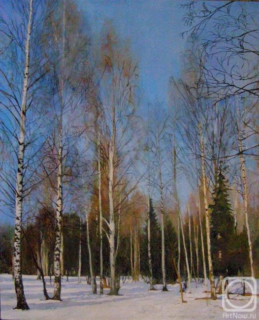 Egorov Viktor. Birches in Gatchina