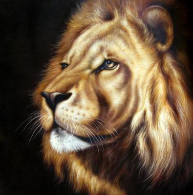 Lion. Bruno Augusto