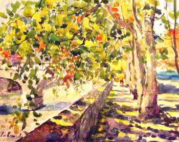 ������� ����������� �����