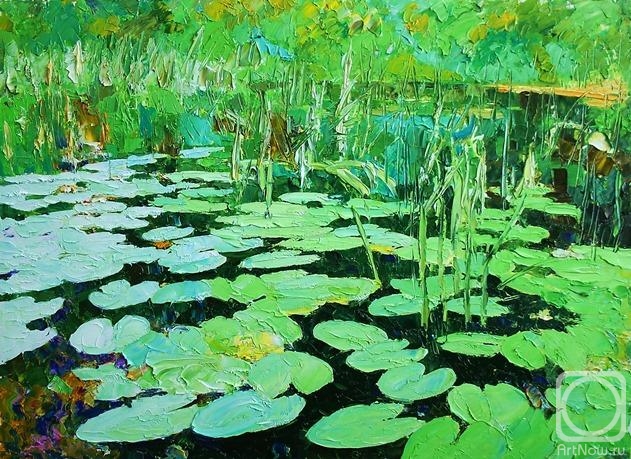 Rudnik Mihkail. Etude 76