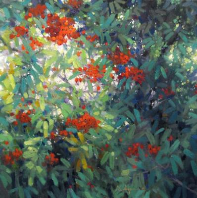 ������������ �����. �������� �������