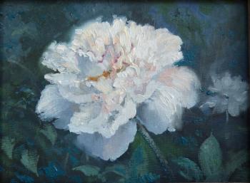 ������� ����� �2�