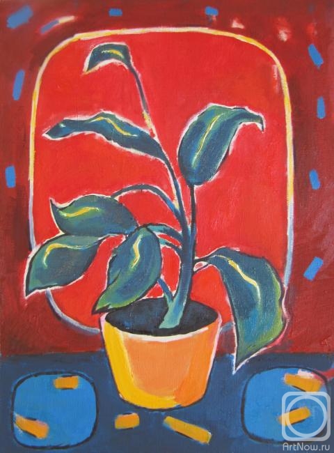 Barsukov Denis. Ficus Madame Barsukova