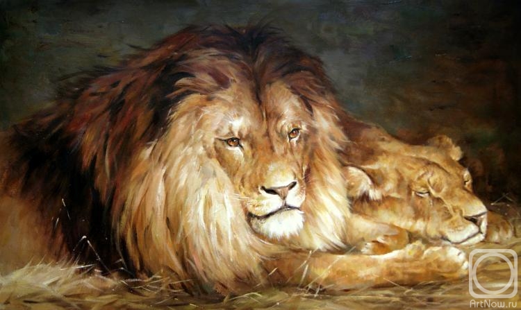 Bruno Augusto. Lions