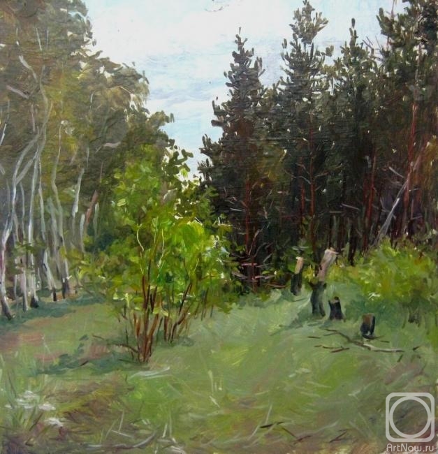 Voronov Vladimir. Birches and pines (etude)