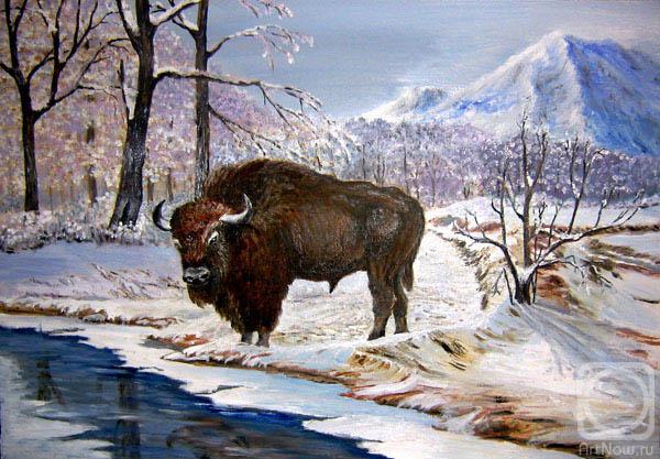 Peschanaia Olga. The bison