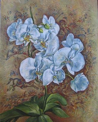 White orchid. Rakutov Sergey