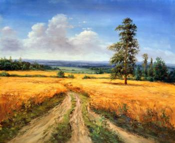 Field. Minaev Sergey
