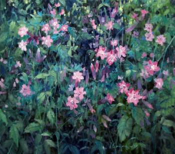 ��������. �������� �������