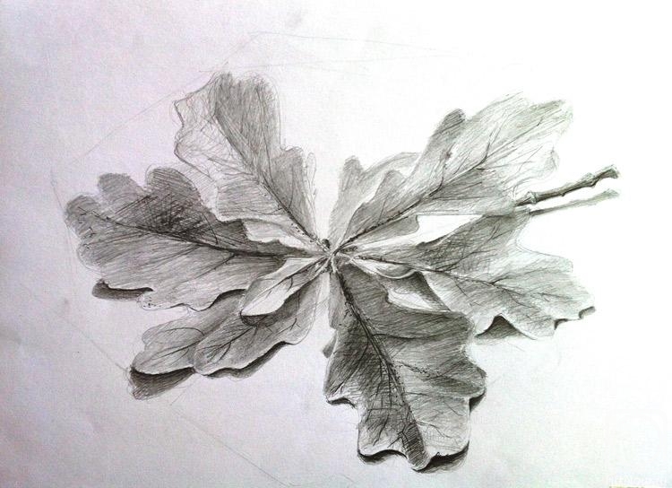 �������. ���������� �����. � ��������