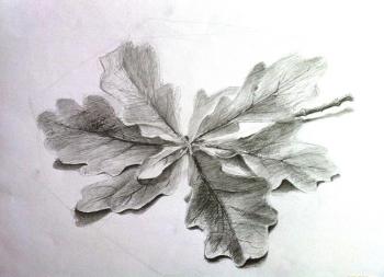 ������� �� ��������