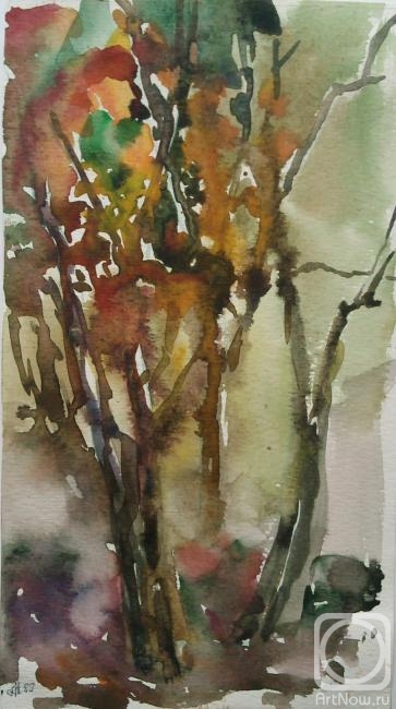 �������. ������� �������. ����