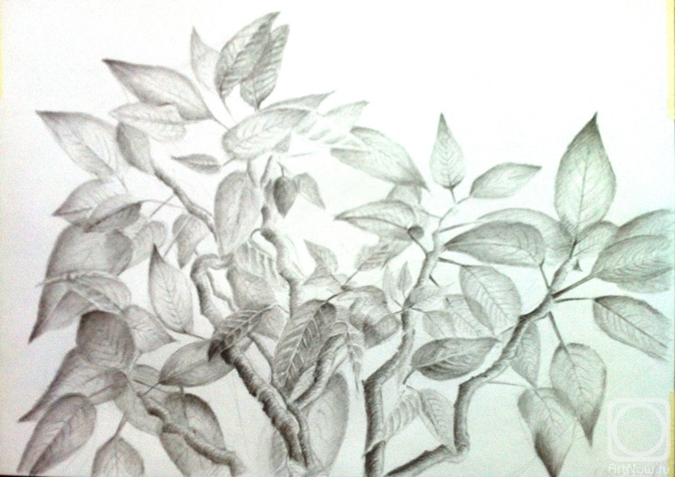 �������. ���������� �����. ���������