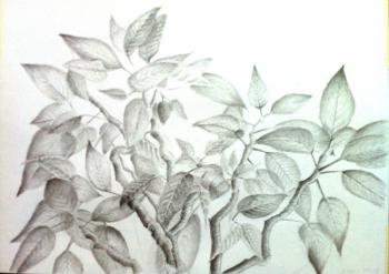 ���������. ���������� �����