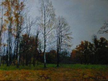 Autumn in Oranienbaum. Egorov Viktor