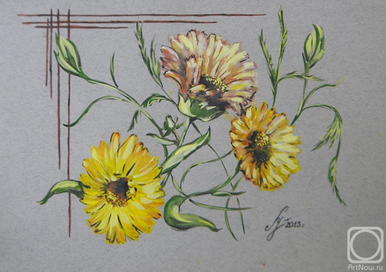 Ushakova Maria. Calendula