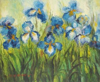 Irises in the field. Burov Anton
