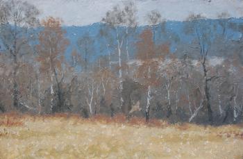 ������� �������