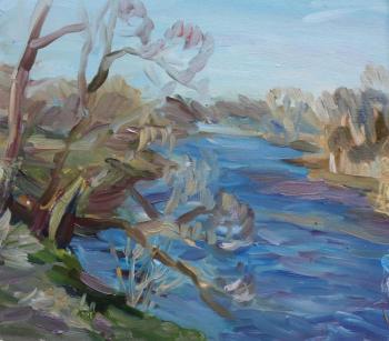 The view from the high Bank of the river