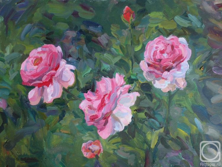 Shenec Anna. Pink roses