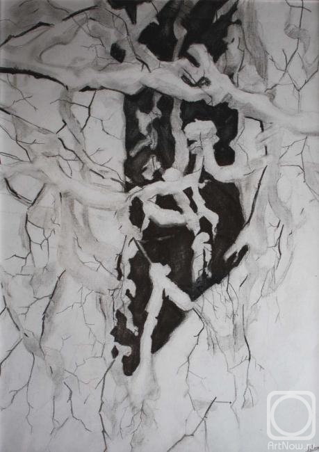 �������. ����� ����. ������ ������ 1, 58�41, ������ ,�����,2013