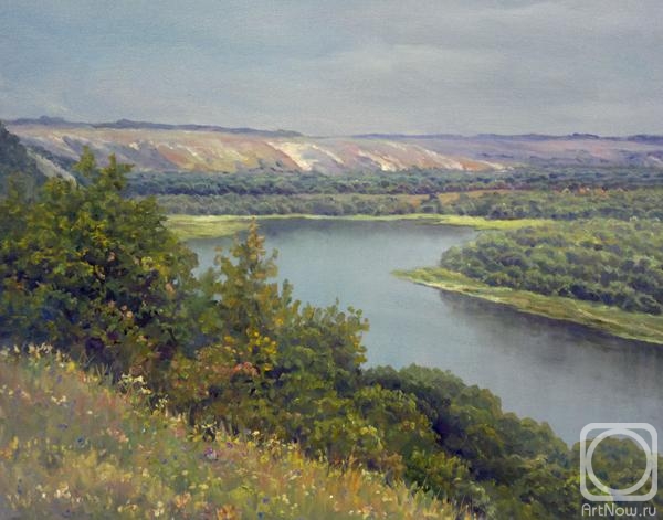 Dobrodeev Vadim. Donskoy landscape, overcast