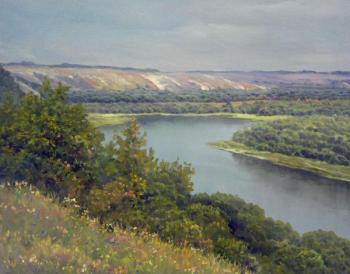 Donskoy landscape, overcast. Dobrodeev Vadim