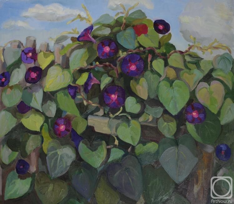 ������� ������ �� ������. ������� �������. �������