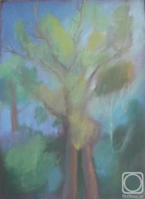 �������. ����� ������. � ���������