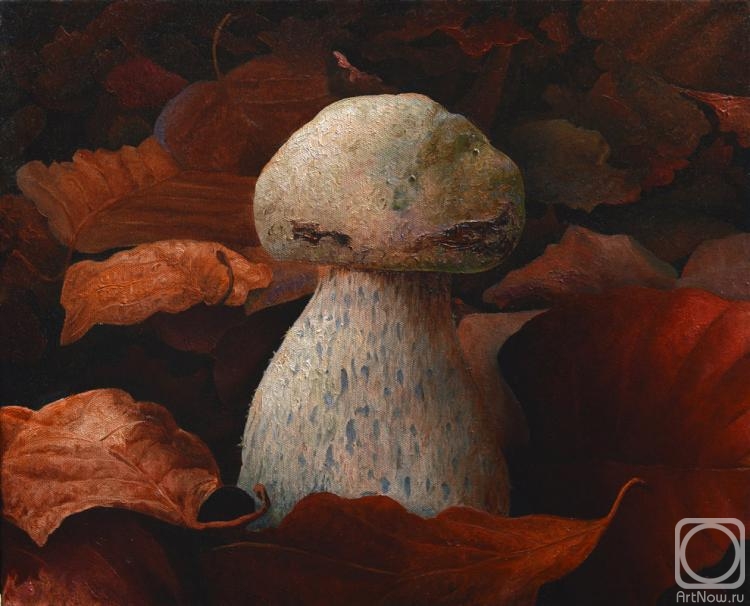 ������� ������ �� ������. ��������� ���������. ������� ��������� ��������