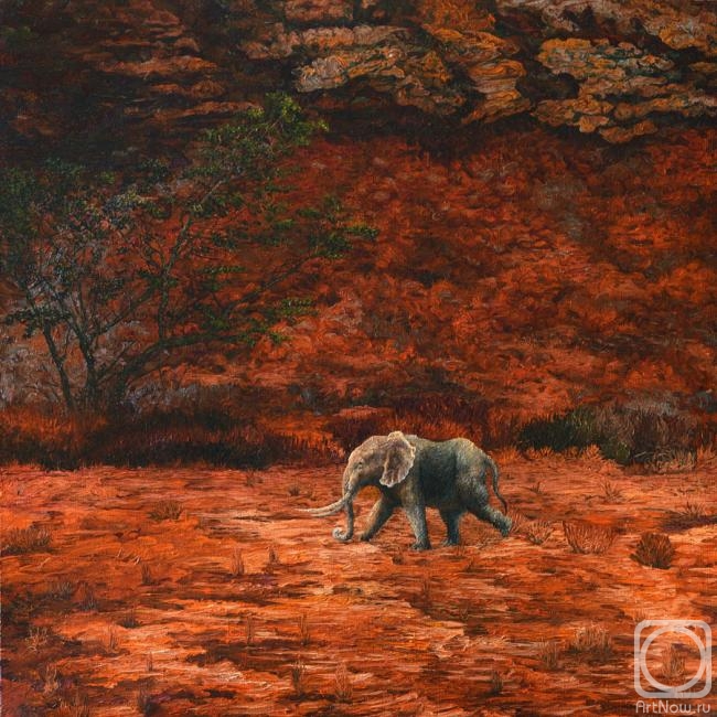 ������� ������ �� ������. ��������� ���������. ����, ������� ������ �� ���