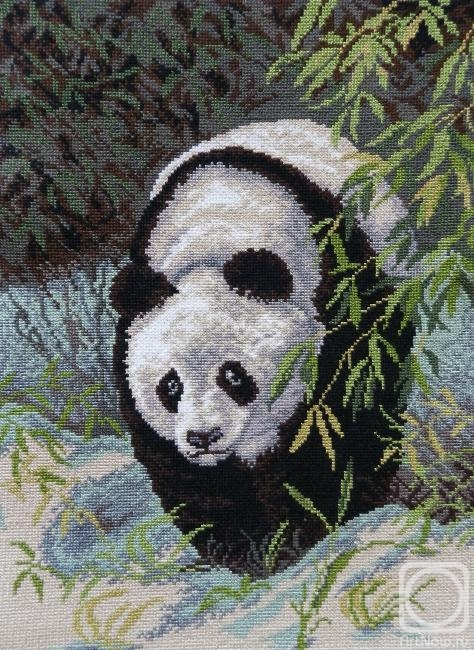 Khrapkova Svetlana. Panda