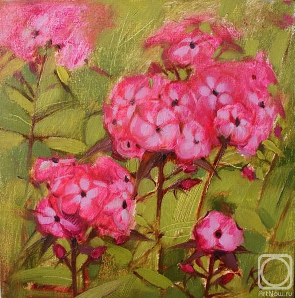 ������� ������ �� ������. ��������� ����. ������