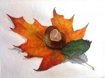 ������� �� �������� ���������