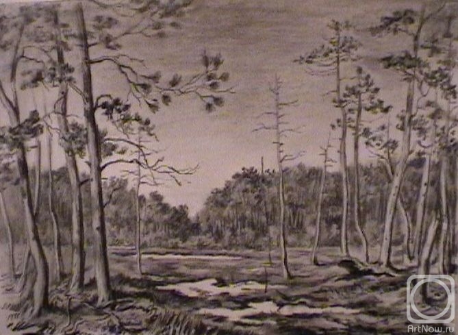 �������. ���������� �������. �� ���������� ������