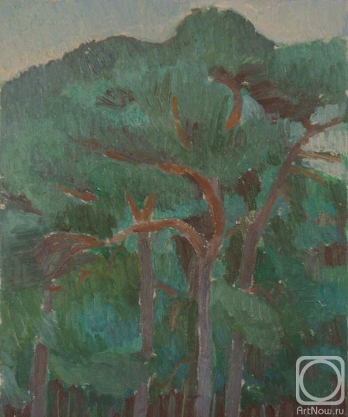 �������. ������� ���������. ���� � �������