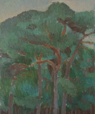 Sketch with pine trees. Gaganov Alexander