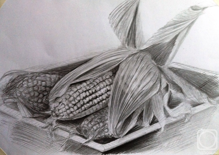 �������. ���������� �����. ��������