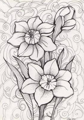 ������� ����������� "�����"�