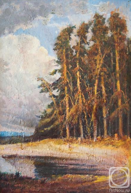 Belov Nikolay. spring blooming