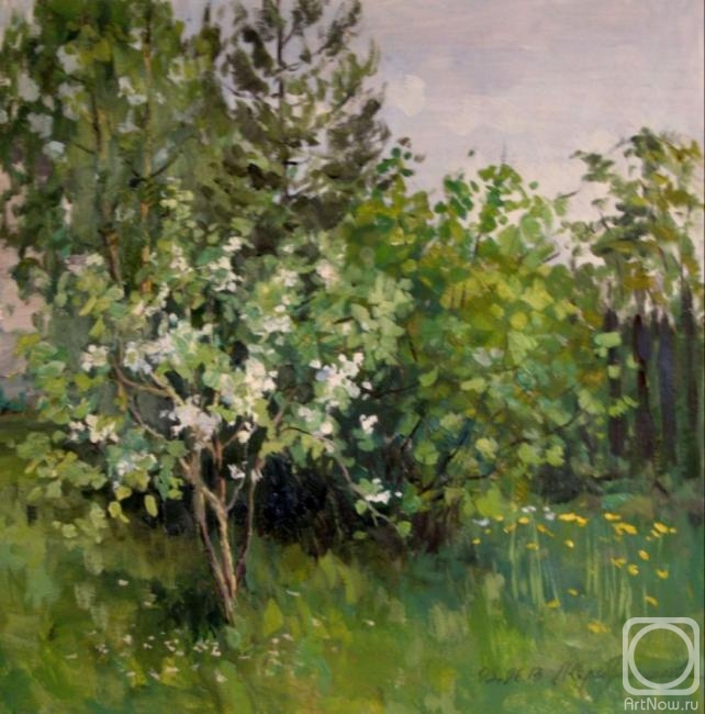 �������. �������������� ������. �������� �������