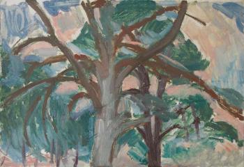 ������� �����. ������� ���������