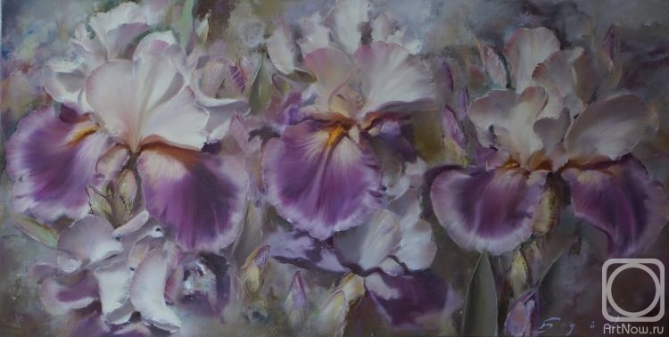 Buiko Oleg. Silvery iris