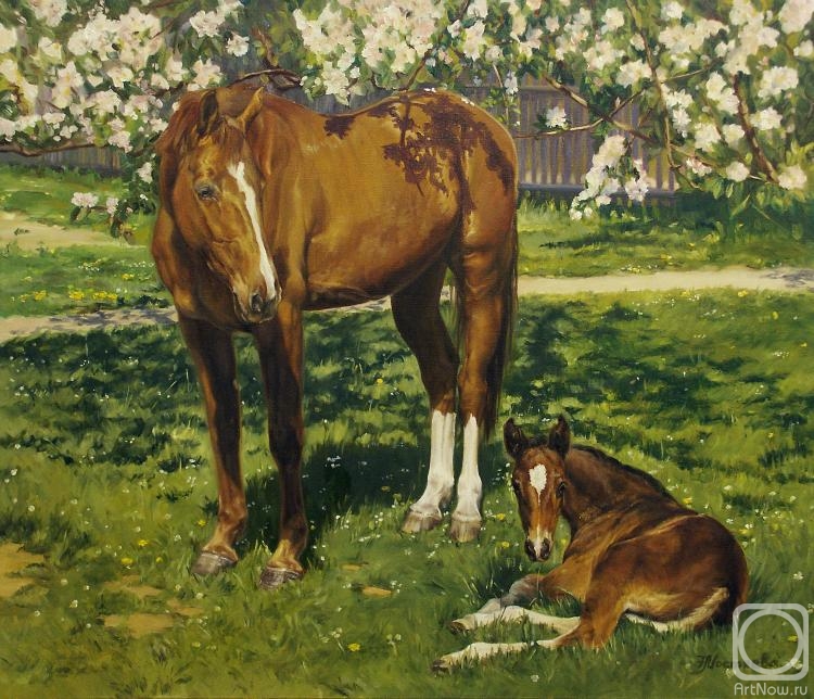 ������� ������ �� ������. �������� �������. ��������