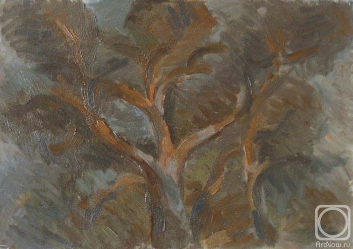 �������. ������� ���������. ������ �����