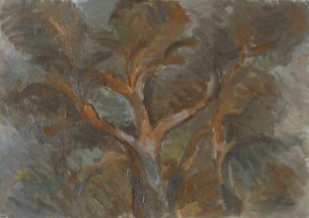 ������� ������� �����