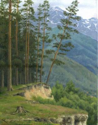 Tilted pine on a cliff. Momotov Dmitrii