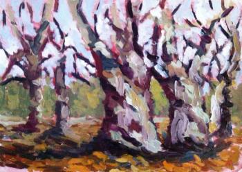 ������� �������� ���