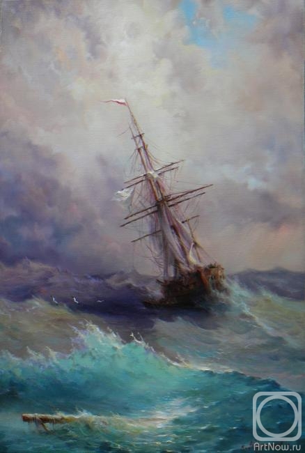 Shurganov Vladislav. Storm
