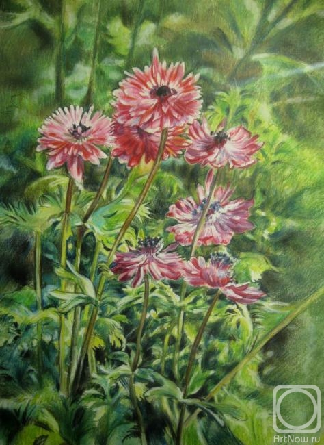 �������. ��� �����. ������ �������